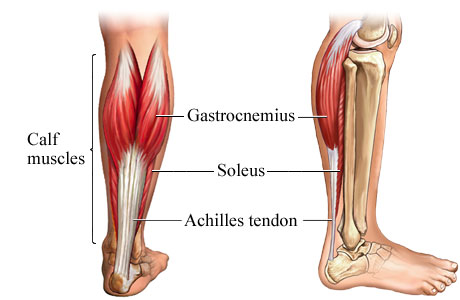 Calf Muscle Tightness, Achilles Tendon Length and Lower Leg Injury